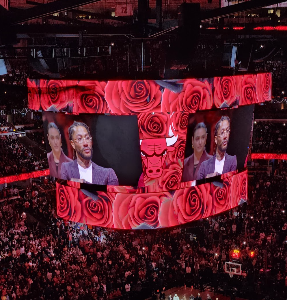 데릭로즈 헌정 이벤트 사진