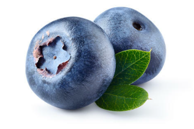 블루베리