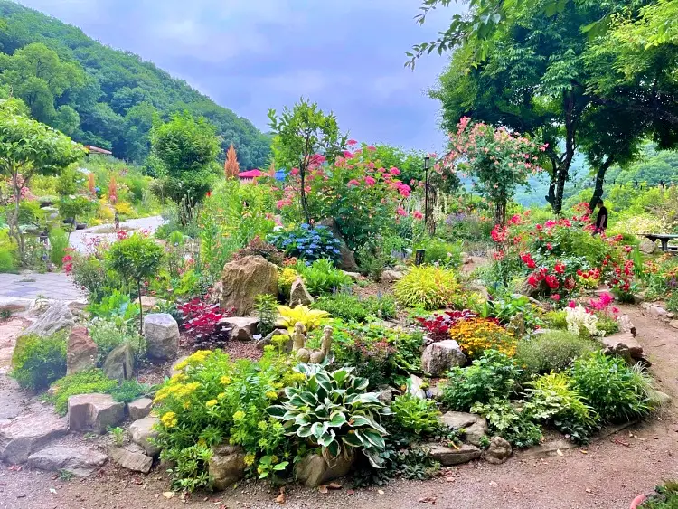 생방송오늘저녁 충남 천안 해발 350m 산속에 500여 종 꽃 피는 비밀 정원 카페 자몽차, 새우피자, 바닐라 치즈 라떼 맛집 추천