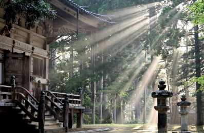 전통과 현대가 조화로운 일본의 미니멀리즘