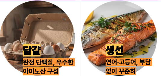 단백질 많은 달걀, 생선