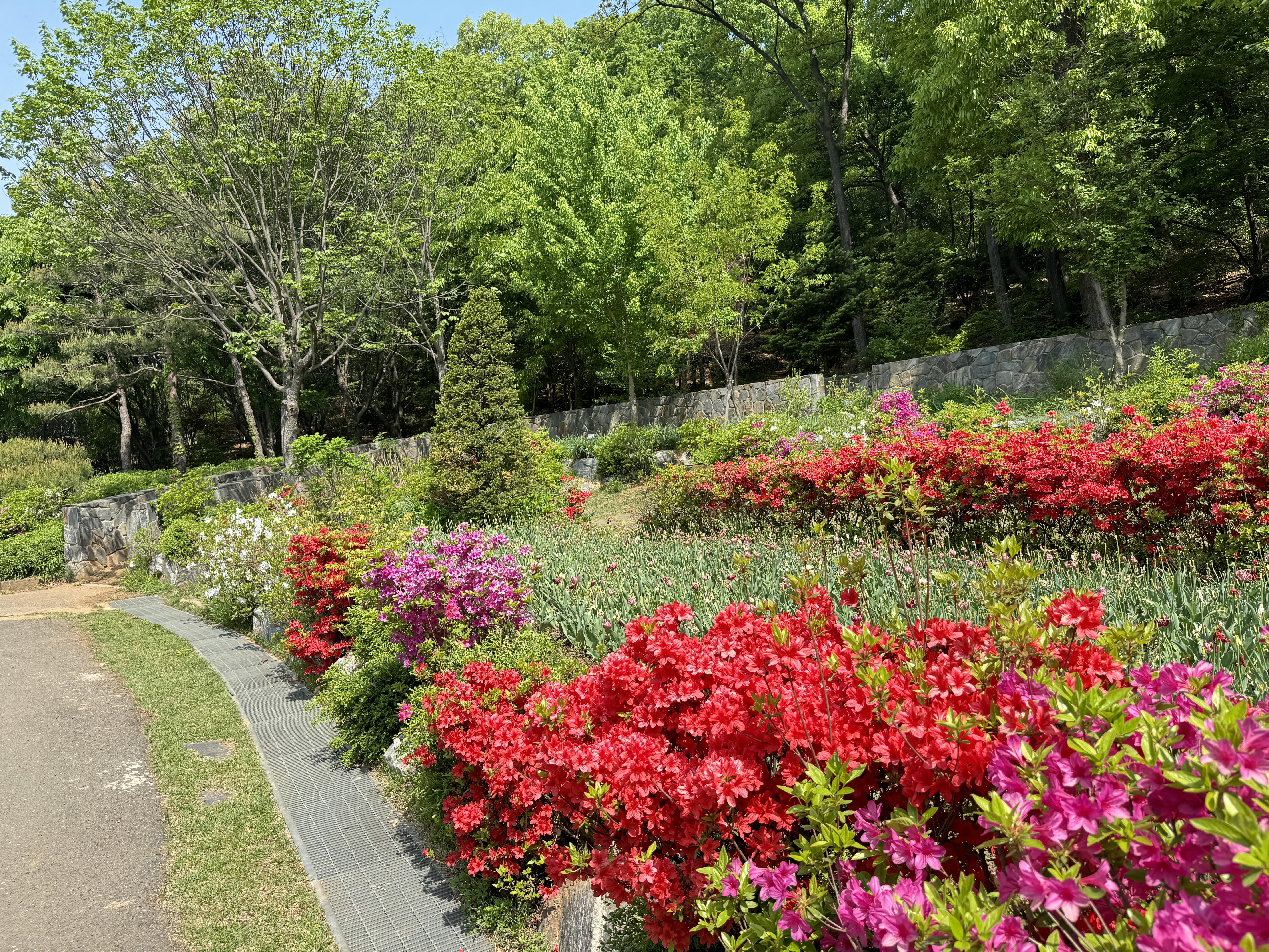 부천자연생태공원