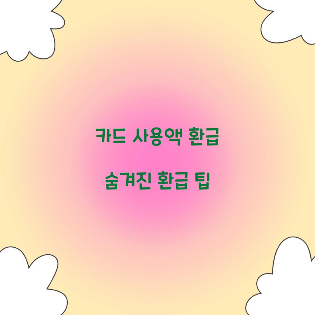 카드 사용액 환급 숨겨진 환급 팁
