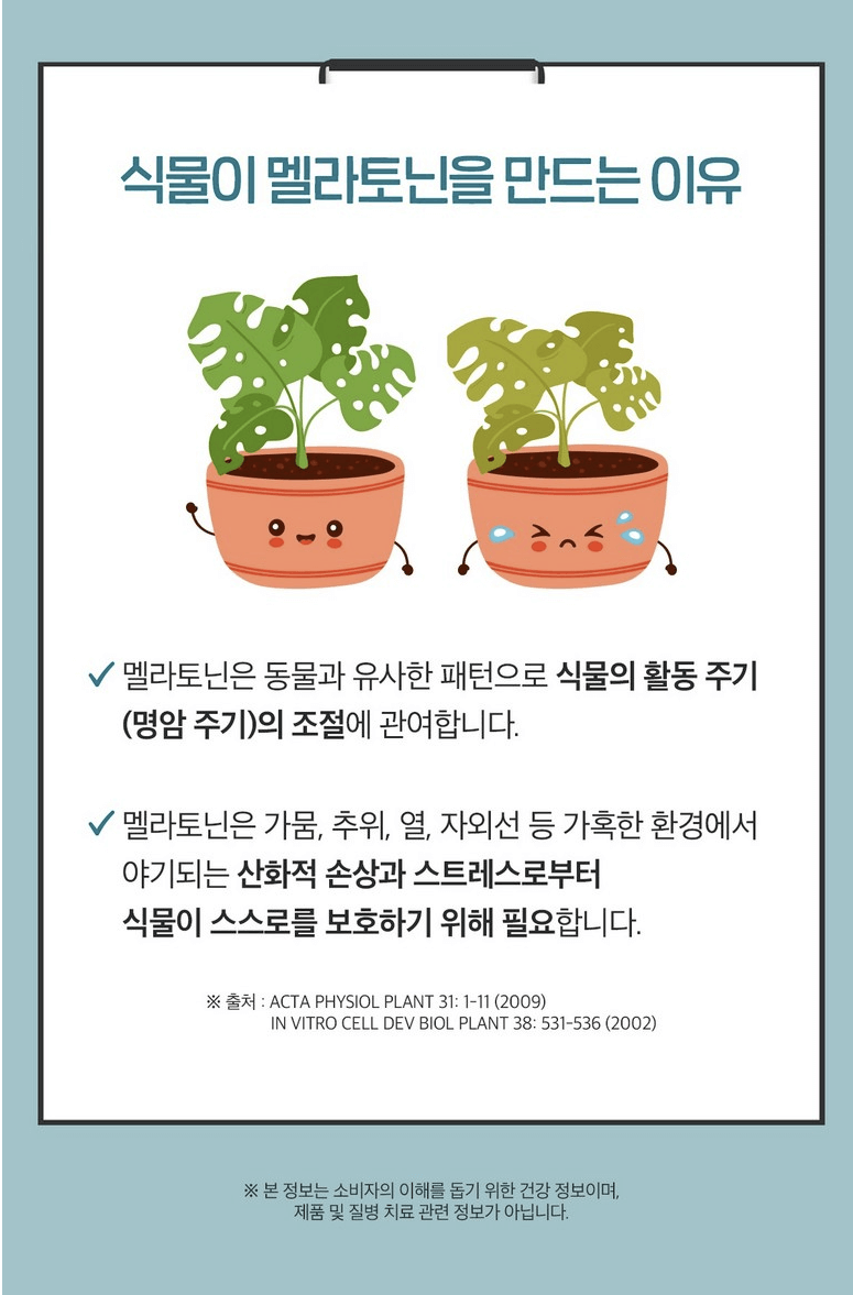  Dr.Lean 멜라토닌 2mg 리뷰