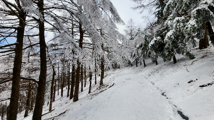 바래봉 설경 빙경