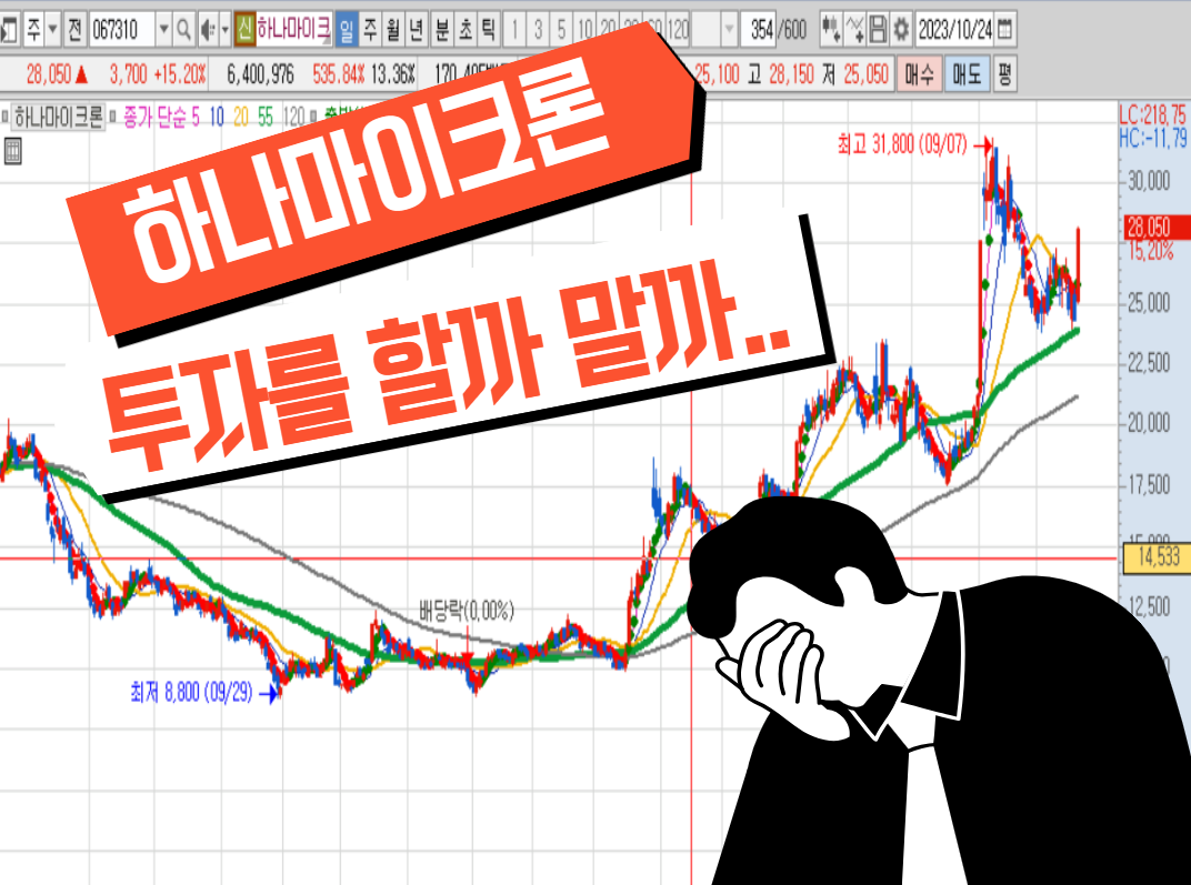 투자 포인트와 주의점