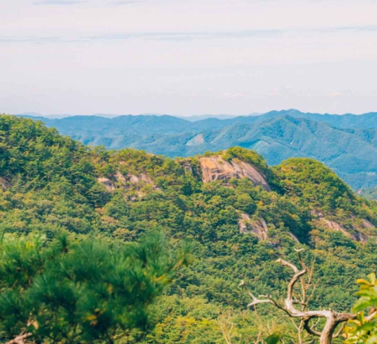 보은 가볼만한곳 베스트10
