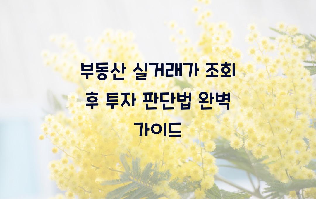 부동산 실거래가 조회 후 투자 판단법