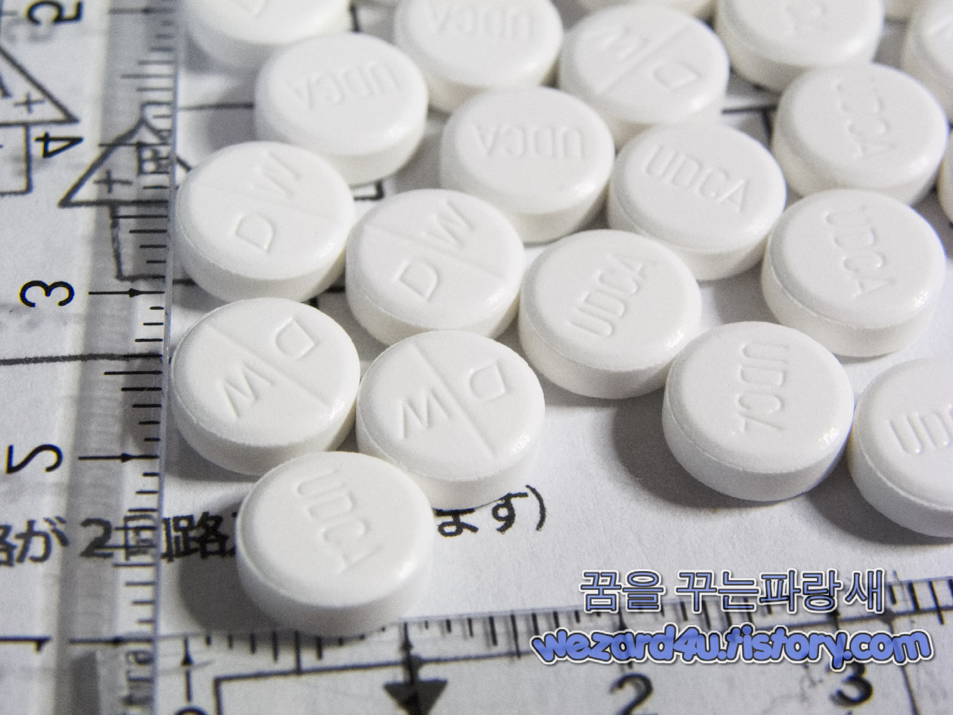 우루사 100mg(조제용)