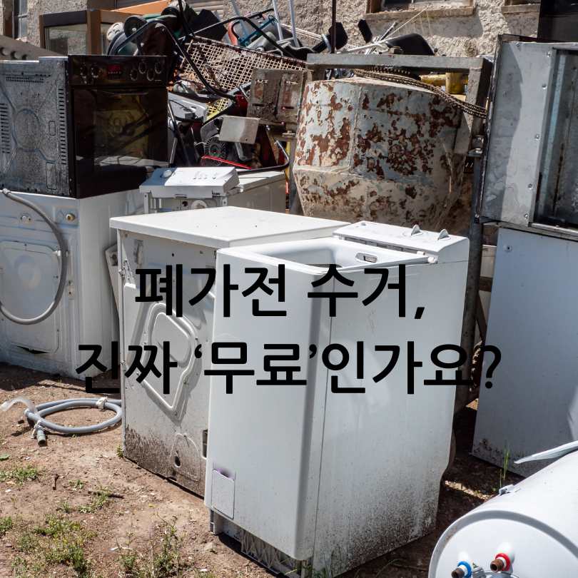 e순환거버넌스 : 폐가전무료수거 서비스