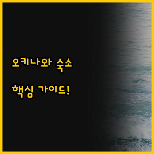 오키나와 여행 나만의 숙소 현대적 베..