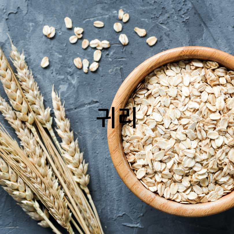 세계10대 항암식품