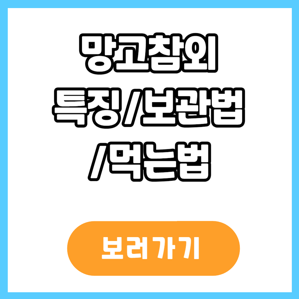 망고참외 보관법 먹는법