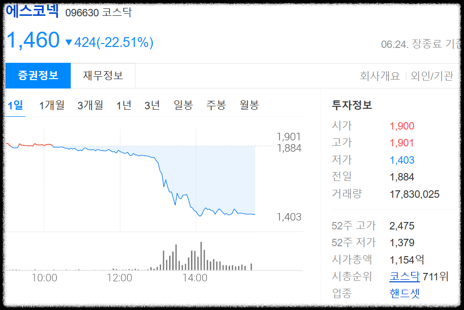 에스코넥 24일 급락
