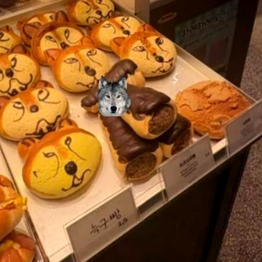 늑구 근황 ❘ 성심당 늑구빵 ❘ 대전 오월드 스타 늑대