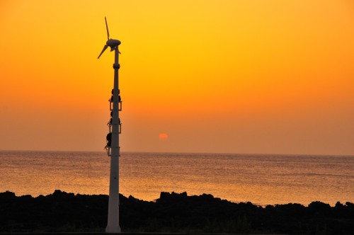 제주 앨리스 앤 트렁크 호텔 주변 제주공항 근처 가볼만한곳 BEST 10