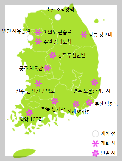 벚꽃 개화 현황, 만개 시기