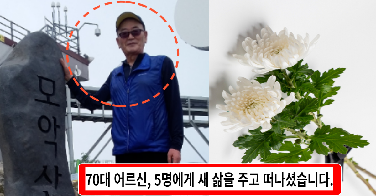 뇌사상태에 빠진 70세 어르신이 뇌사장기기증을 통해 5명의 생명을 살리셨습니다.