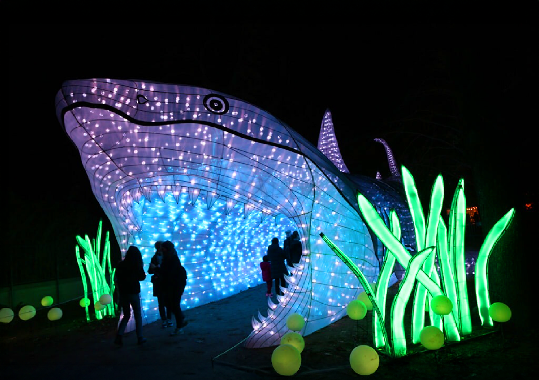 2025 대덕물빛축제