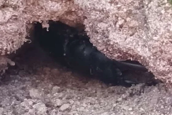 뚝딱뚝딱놀이터 1호