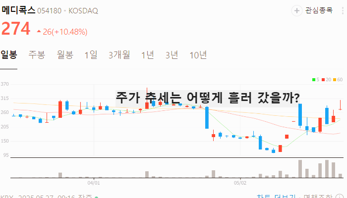코로나 백신 관련주 대장주 테마주 TOP5