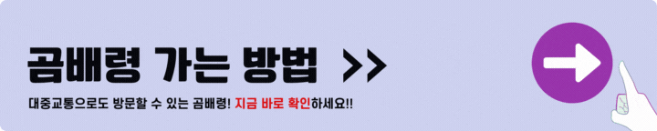 곰배령 가는방법