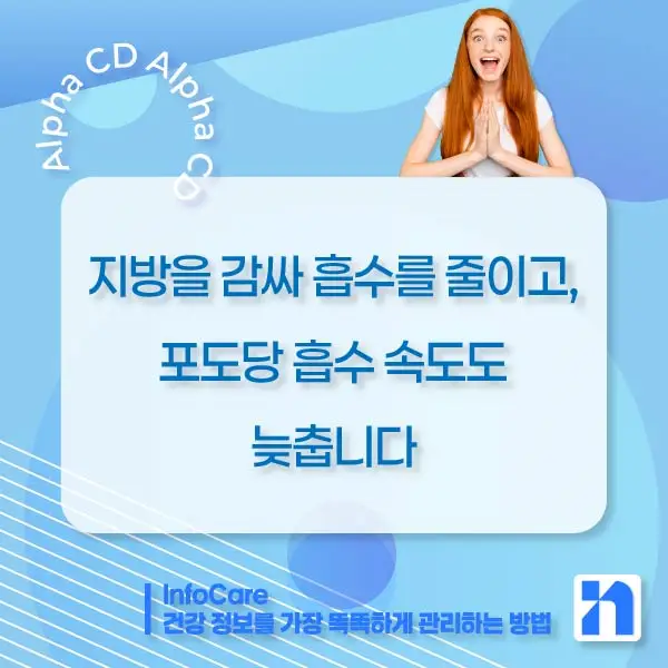알파CD란, 효능, 복용법, 부작용, 주의사항