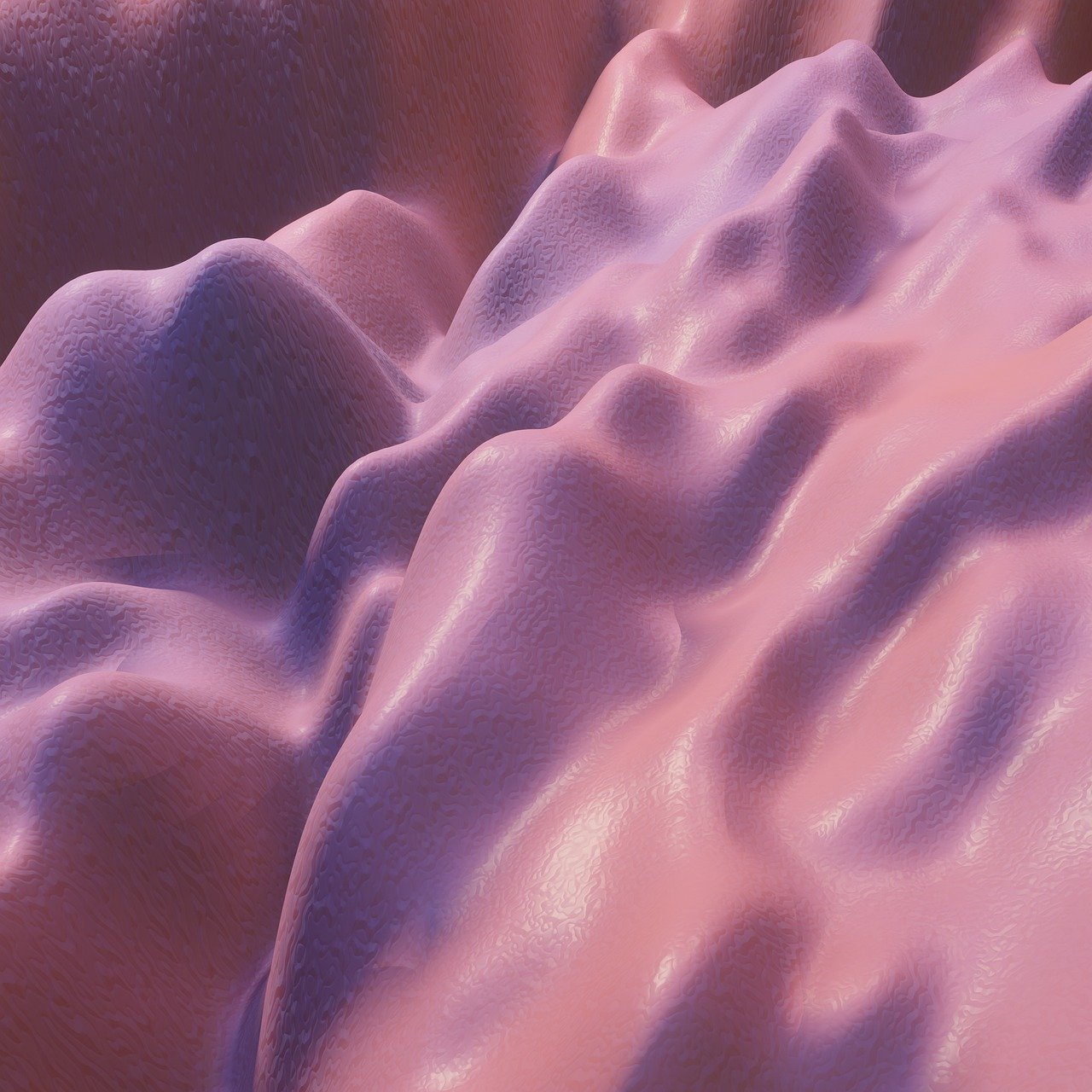 넥스가드 스펙트라