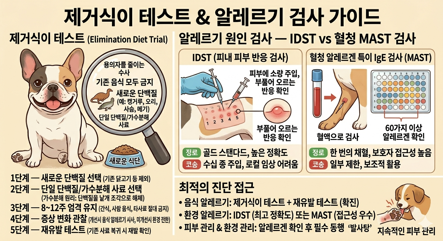 강아지 아토피 제거식이 테스트로 구별하기