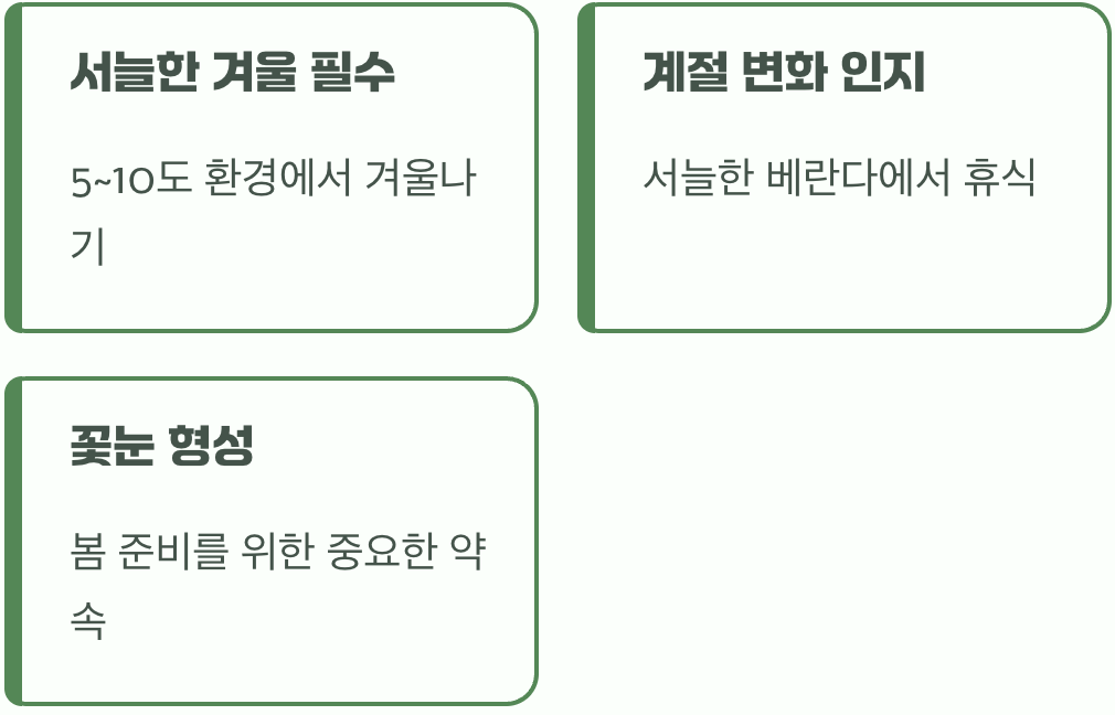 꽃을 부르는 비밀, 서늘한 휴식