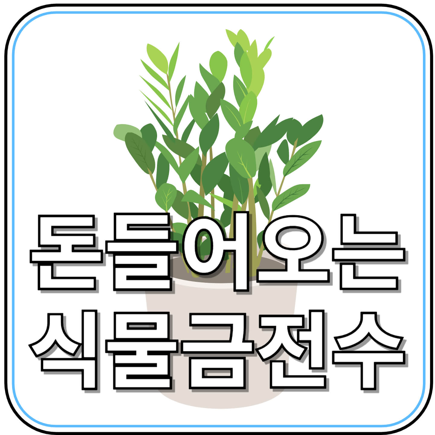 부자들이 집에 꼭 두는 식물, 금전수 키우는 법부터 풍수 인테리어까지!