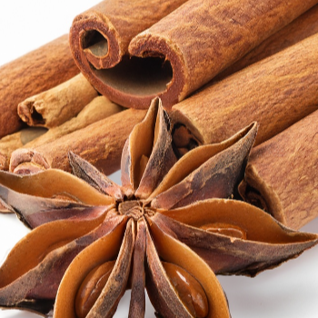 시나몬: 향신료의 특별함