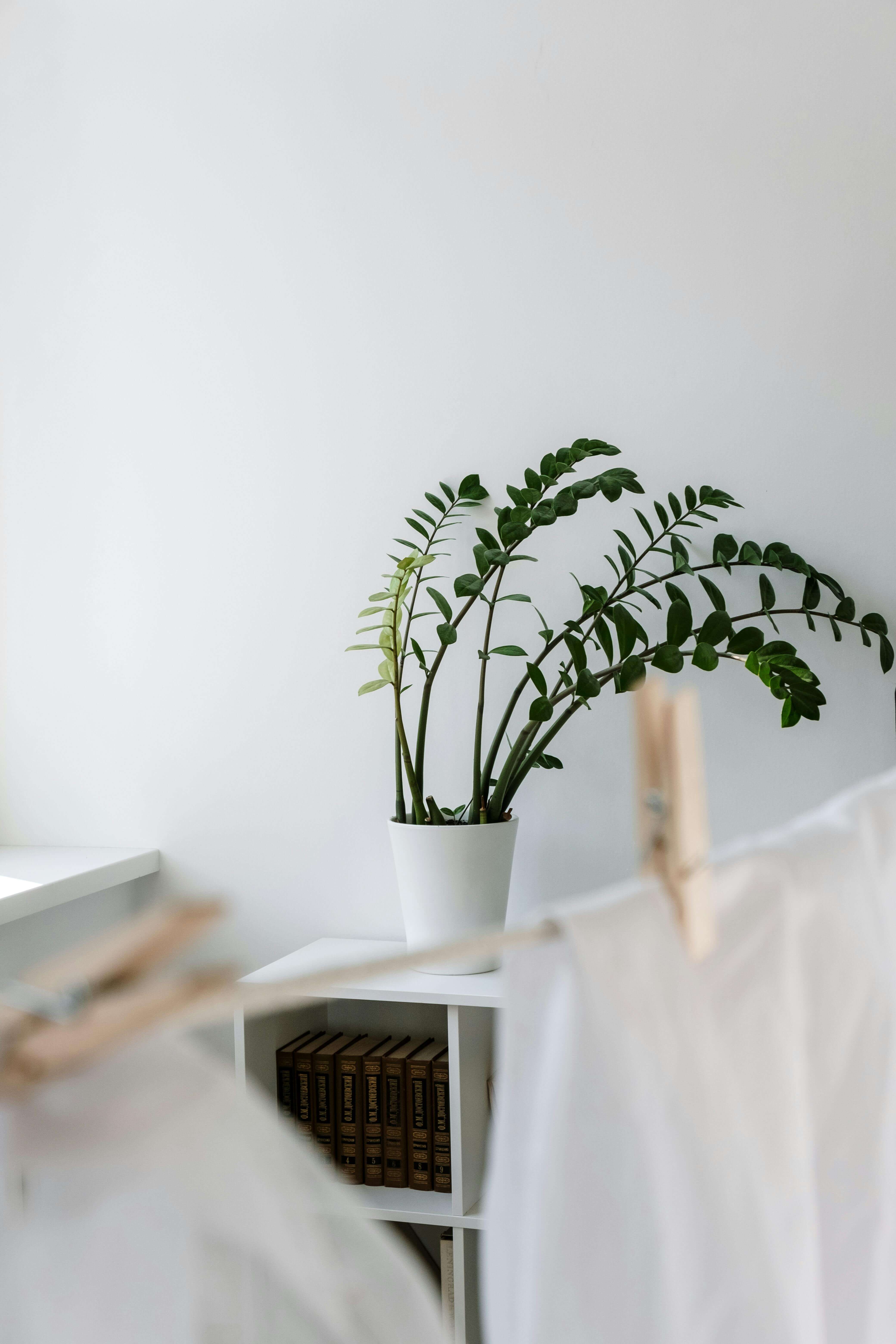 장마철-빨래-냄새-식초로-해결하는-팁