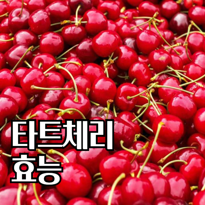 타트체리효능