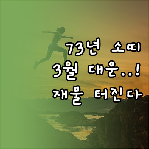 2026년 3월 1973년생 소띠 운..