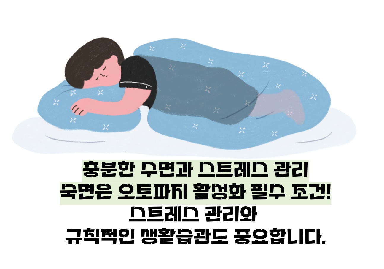 오토파지 다이어트 방법