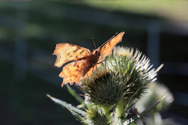 사레들리다 사레걸리다 사래들리다 맞춤법_3
