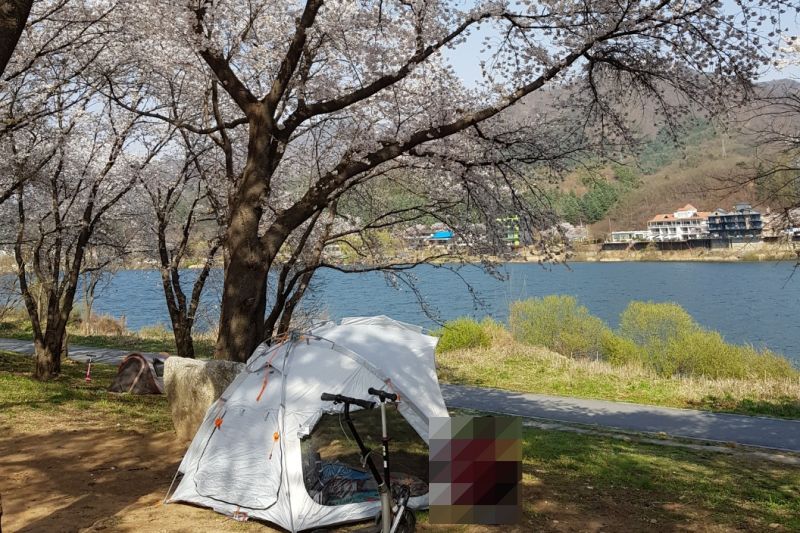 직접 찍은 대성리 국민관광지에서 그늘막을 펴고 즐기는 모습