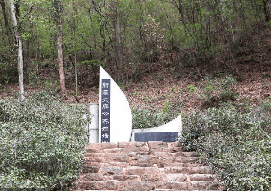 구례 장죽전 차시배지