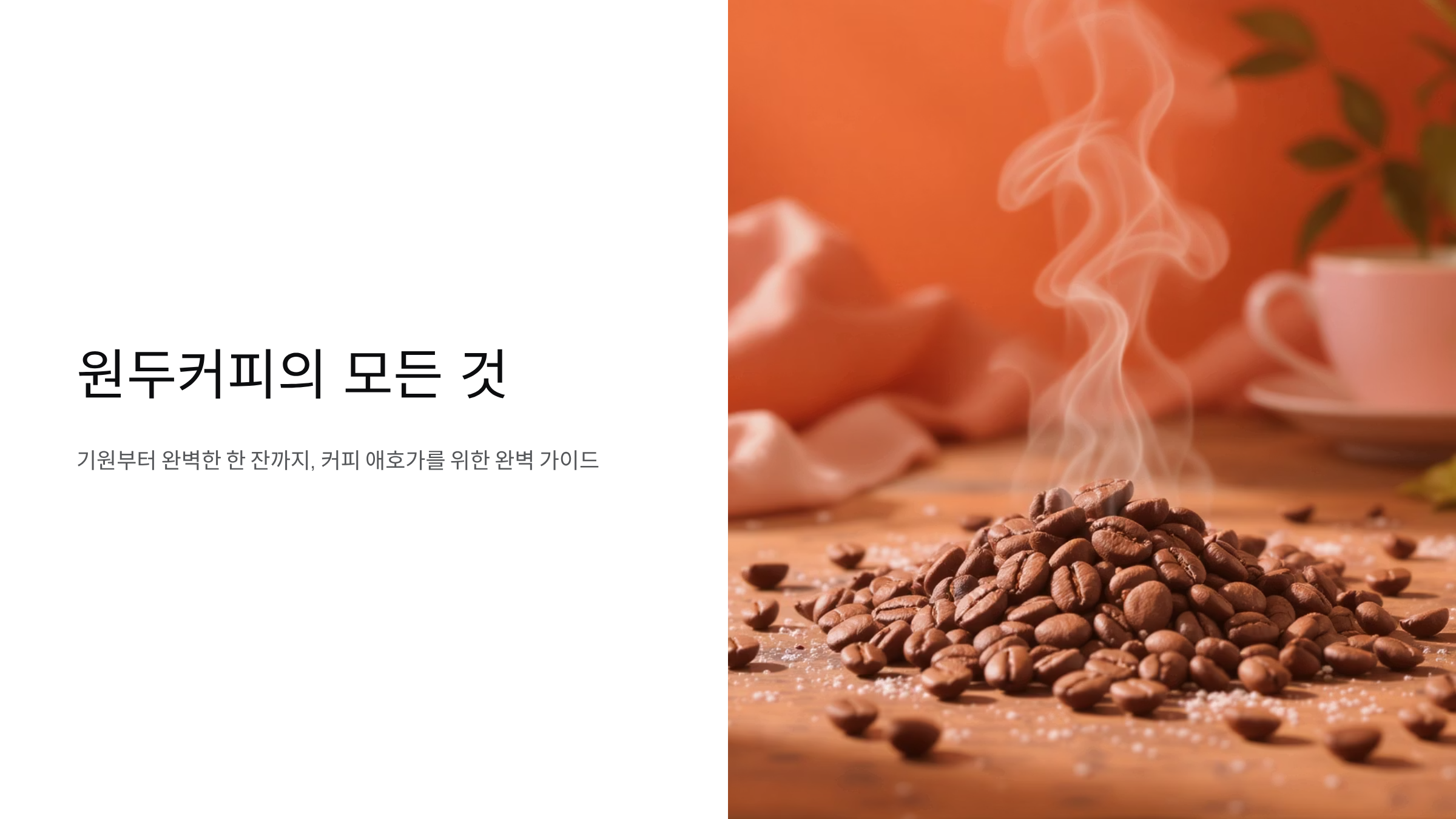 원두커피 추천 프리미엄 가이드