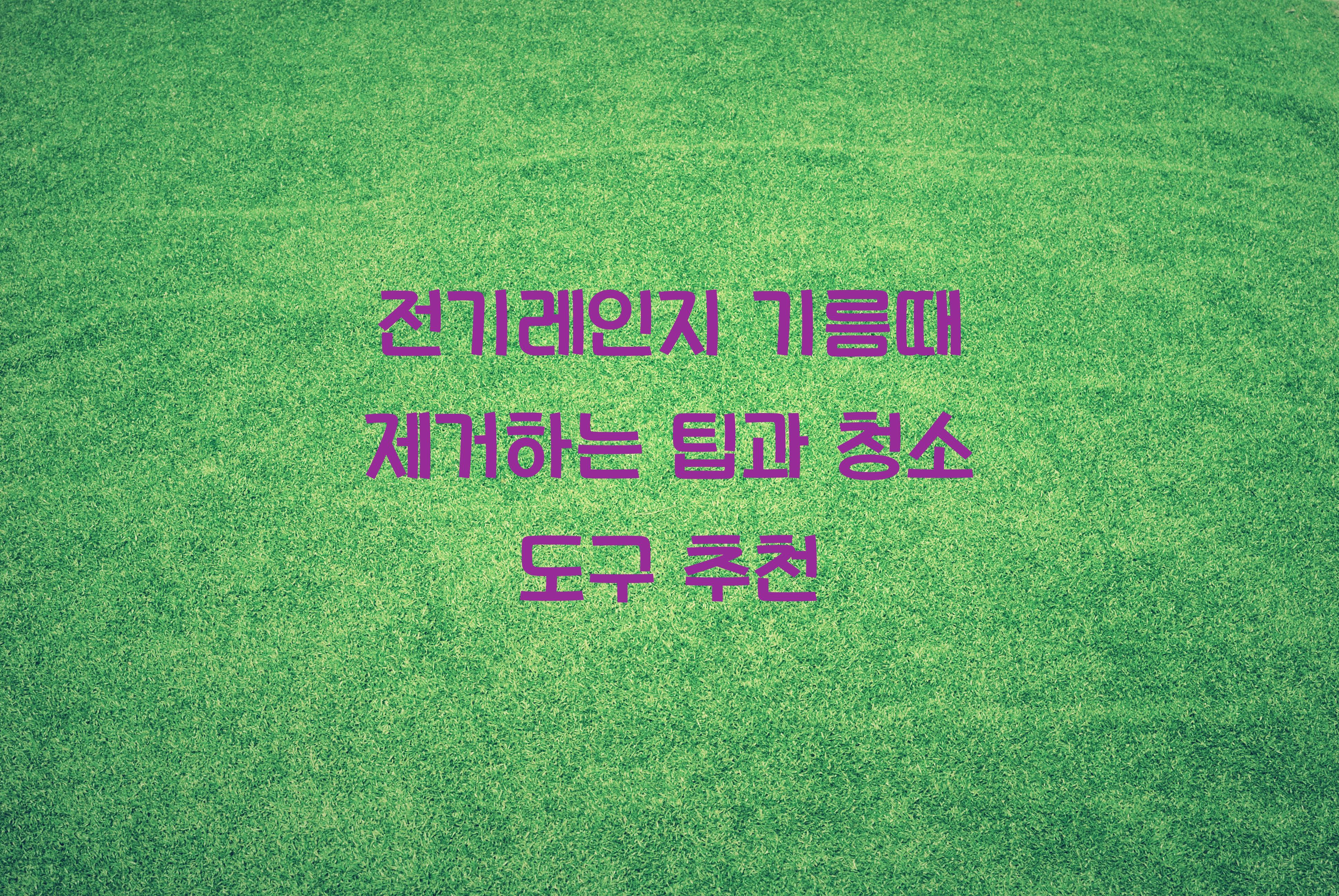 전기레인지 기름때 제거하는 팁