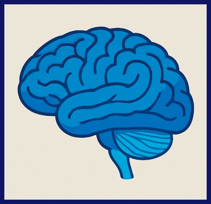 신경가소성과 습관 형성 과학적 원리