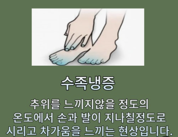 수족냉증의 원인