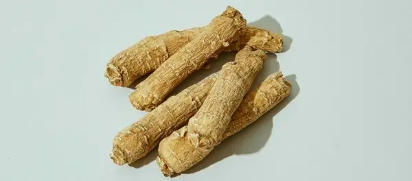 아슈와간다-뿌리-다섯-개가-놓여-있는-장면