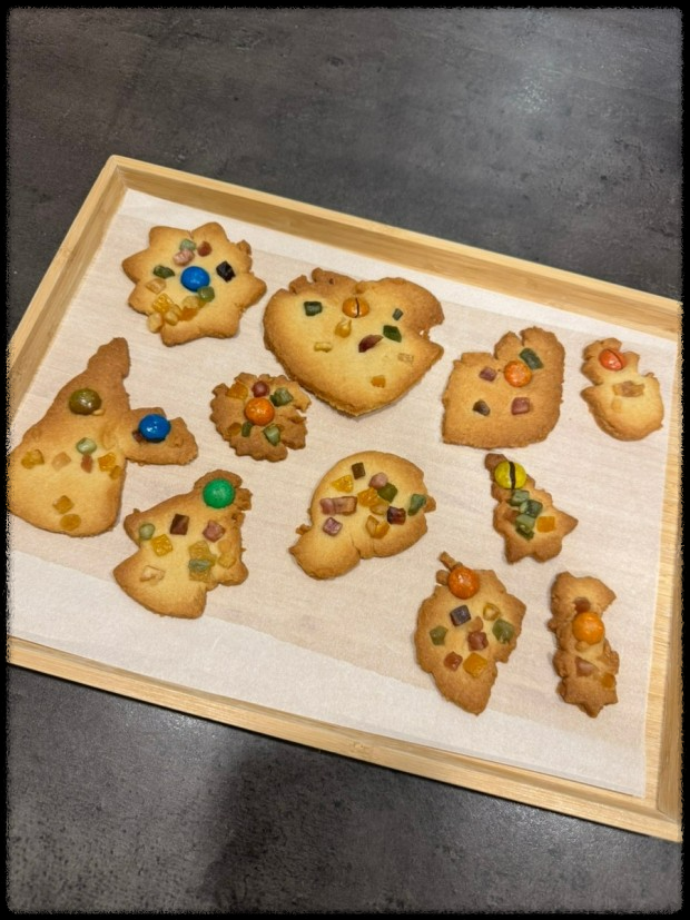  [2024 크리스마스] 가족과 평생 잊지 못할 추억 만들기!