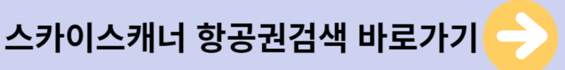 스카이스캐너항공권바로가기