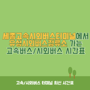 세종고속시외버스터미널에서 유성시외버스정류소 가는 고속버스_시외버스 시간표