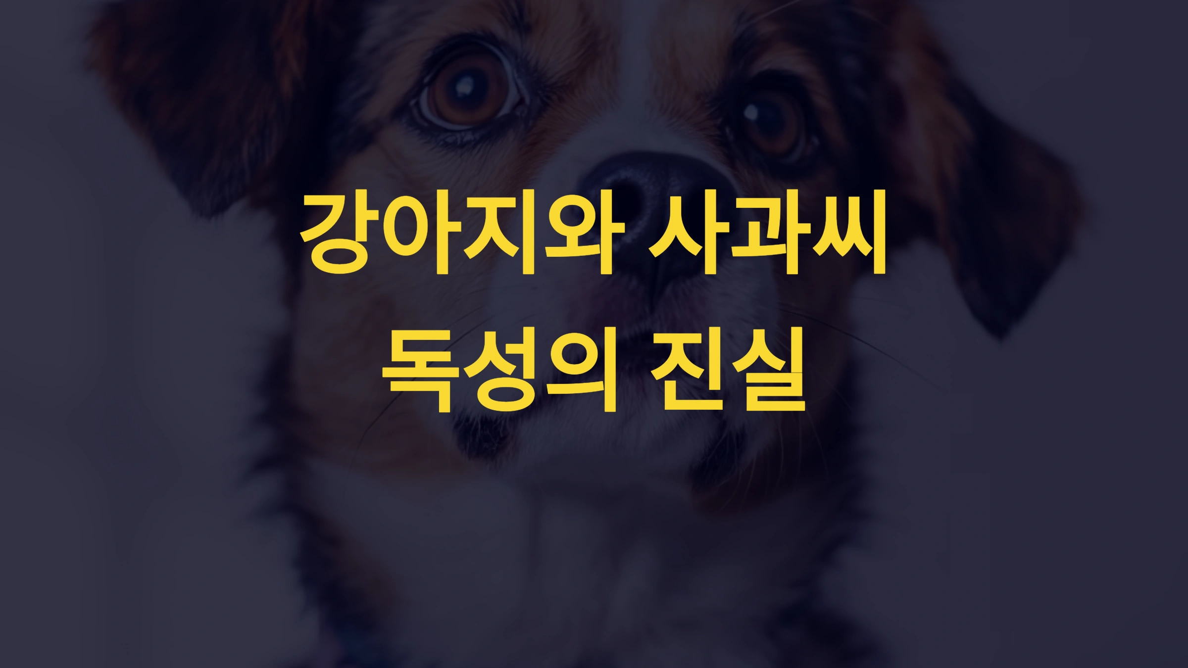 강아지와 사과씨: 독성의 진실