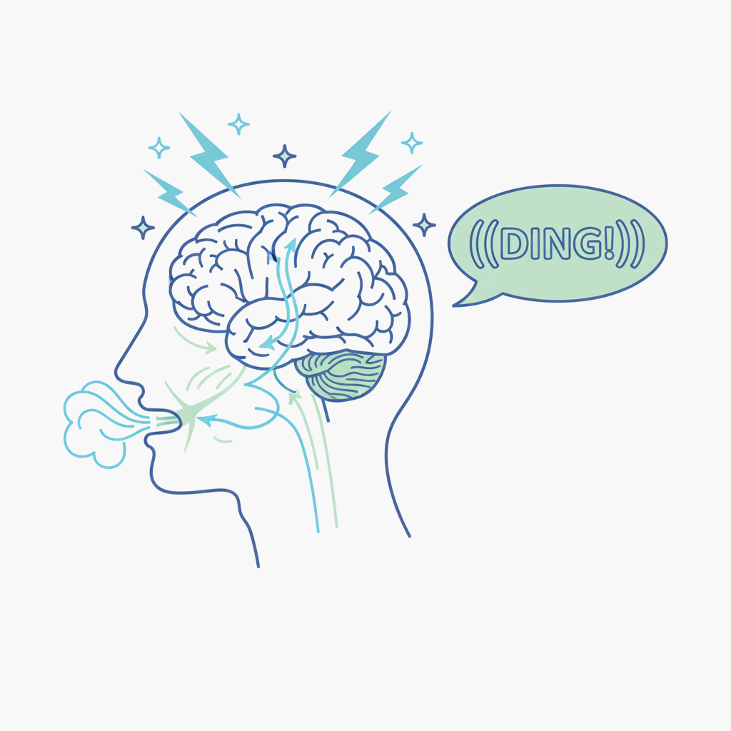 뇌가 띵! 아이스크림 두통이 생긴 모습을 일러스트로 표현한 뇌와 머리 이미지