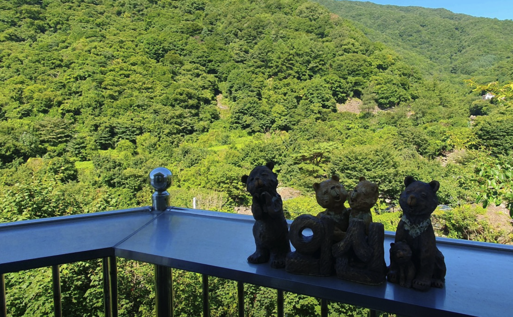 6시 내고향 하동 의신베어빌리지 반달가슴곰 체험 위치 예약 정보